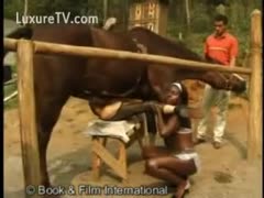 Boyfriend stands by infirm as his girlfriend receives drilled by a horse in this brute sex clip
